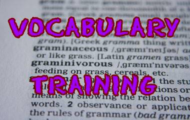 The game Vocabulary training