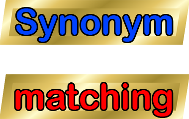 The game Synonym matching