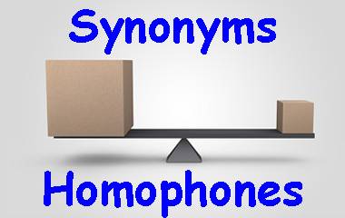 The game Synonyms & Homophones