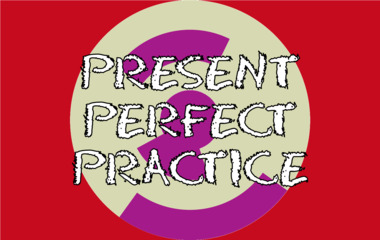 The game Present perfect practice