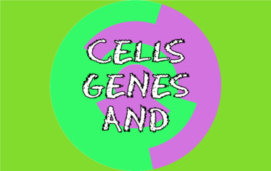 The game Cells, Genes and Molecules