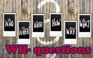 Play WH- questions