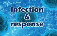 Infection & response