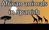 Play African animals