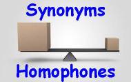 Play Synonyms & Homophones