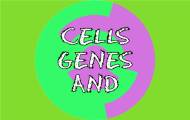 Play Cells, Genes and Molecules